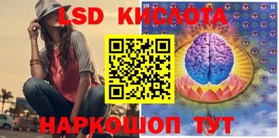 гидропоника Можга