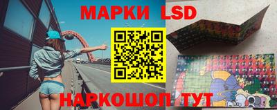 гидропоника Можга